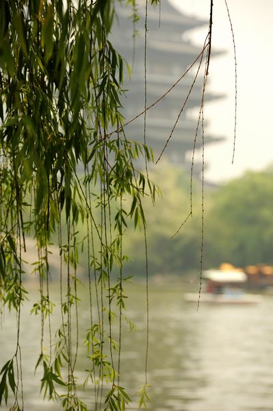 DSC_3736.jpg