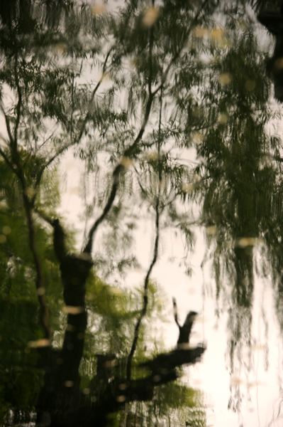 DSC_3321.jpg