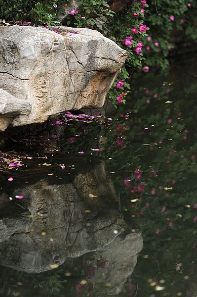 DSC_3613.jpg
