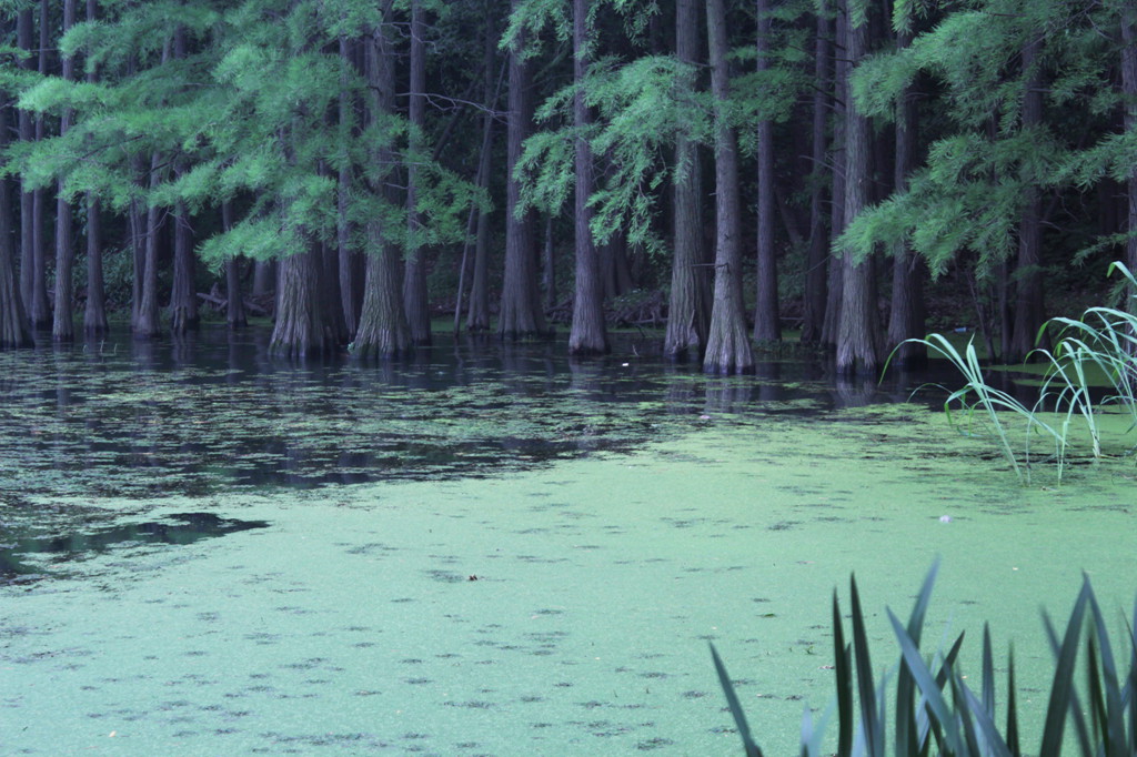 IMG_9104.jpg