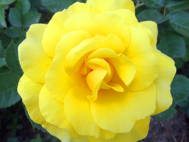 DSCF7459_.jpg