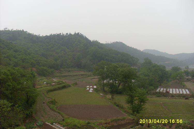 SL383262.JPG