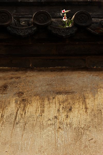 DSC_1967.jpg