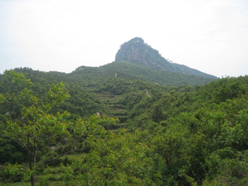 conew_img_8438.jpg