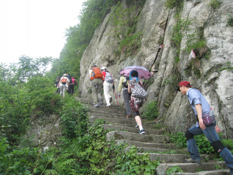 conew_img_8475.jpg