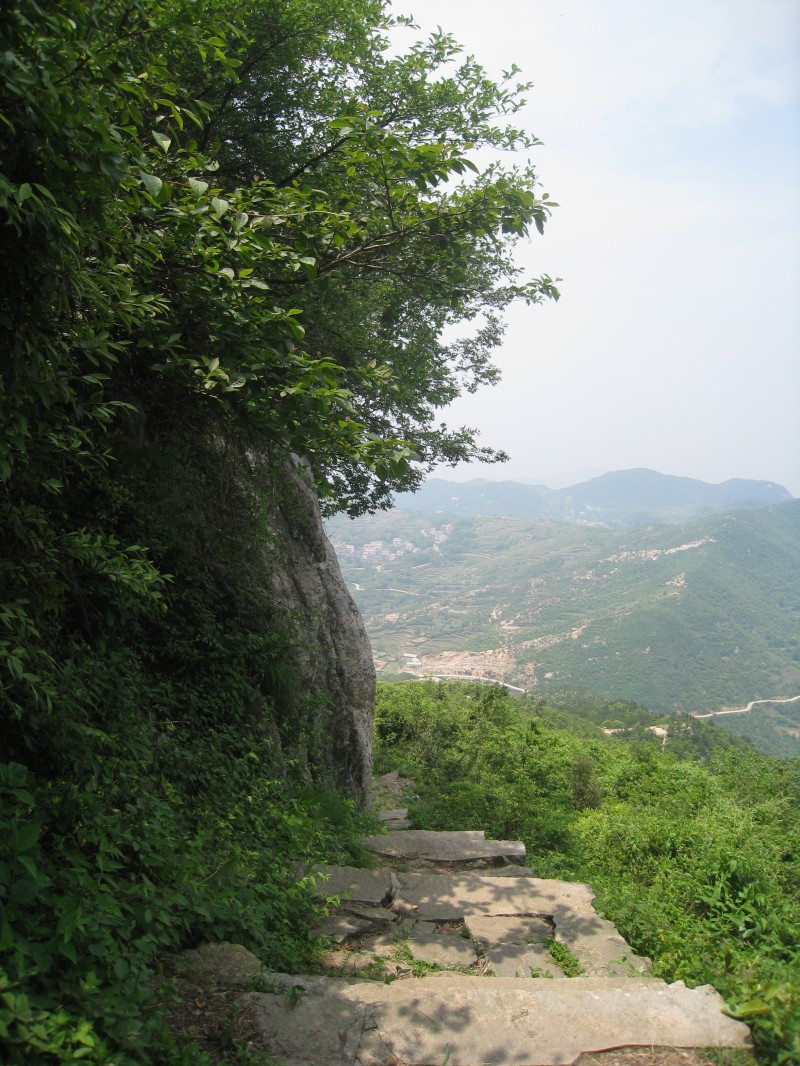 conew_img_8480.jpg