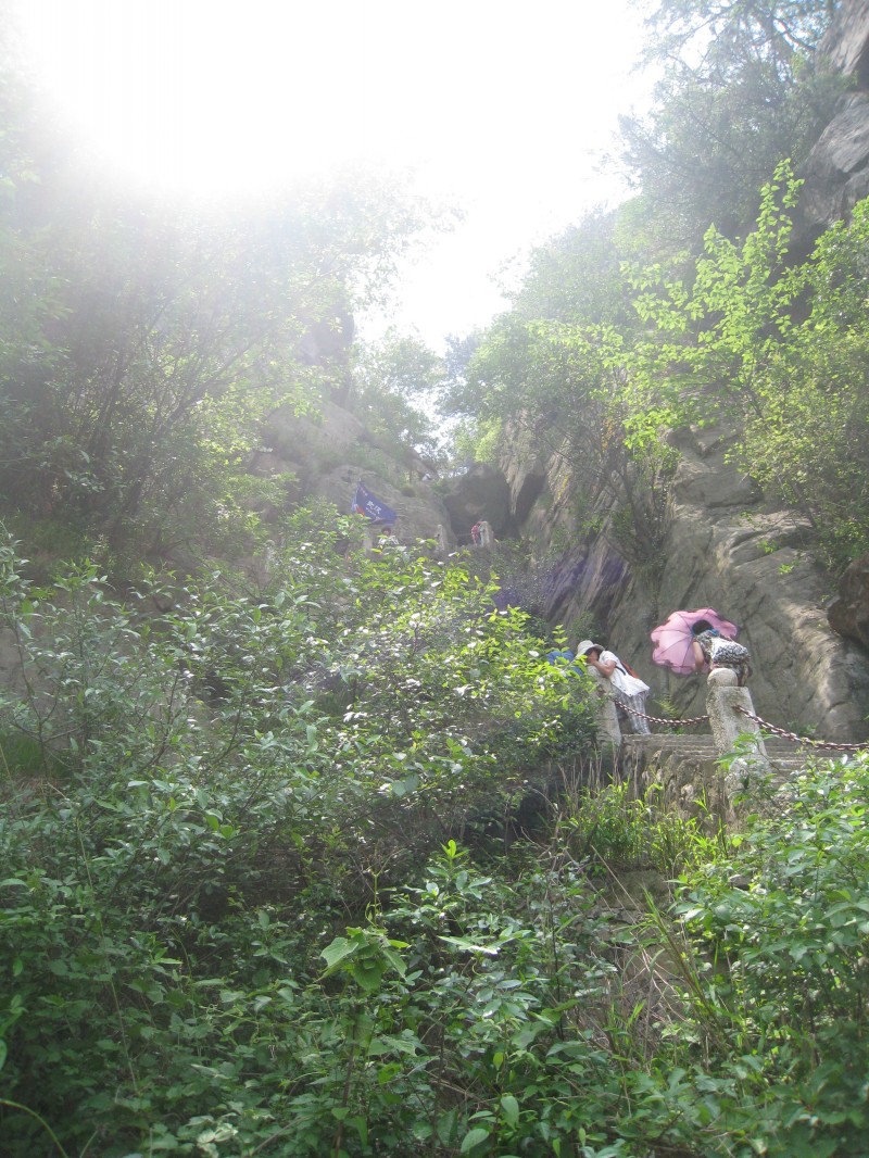 conew_img_8482.jpg