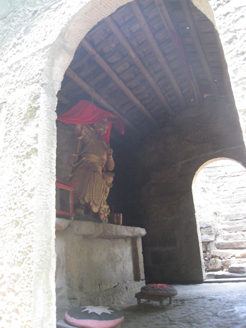 conew_img_8509.jpg