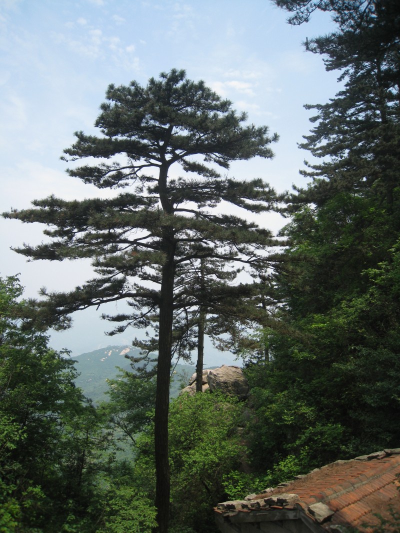 conew_img_8512.jpg