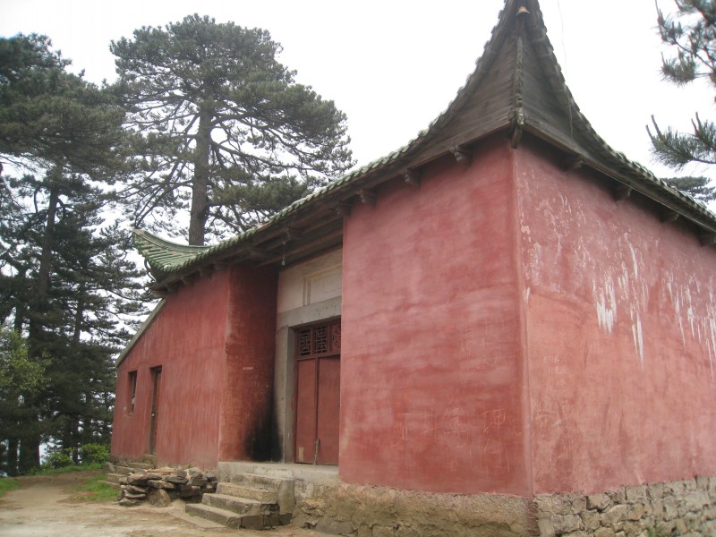 conew_img_8532.jpg