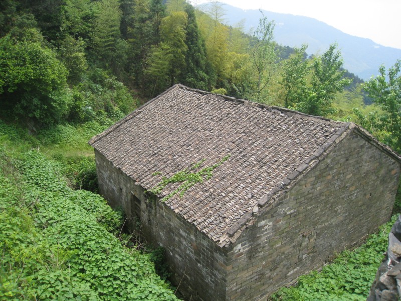 conew_img_8534.jpg