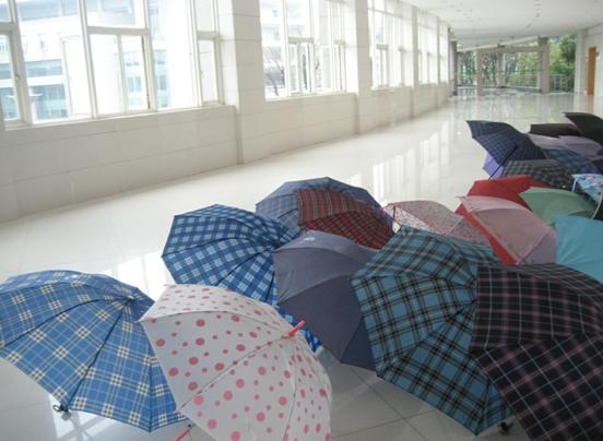 雨。伞.JPG