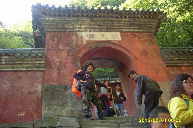 SL383358.JPG