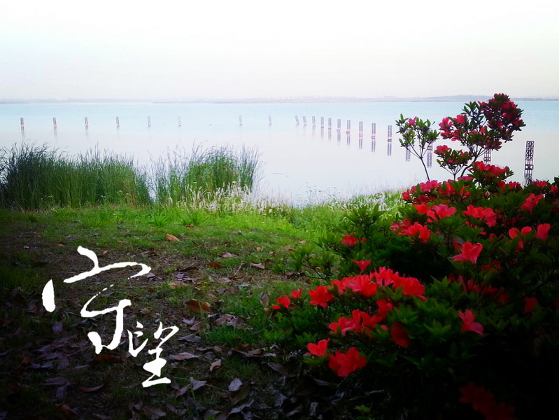 MA201305140611140061-41-255e00_С.jpg