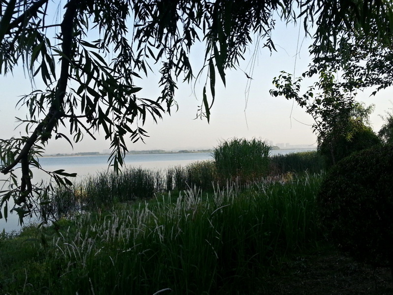 MA201305130642250012-41-1f0000_С.jpg