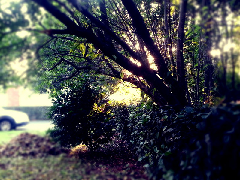 MA201305130615220095-41-010000_С.jpg