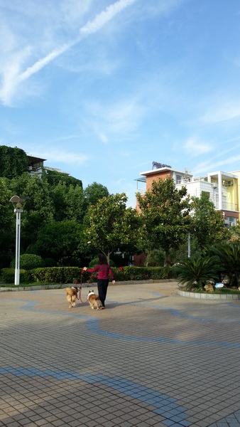 2013-05-11_17-22-23_317392_org_С.jpg