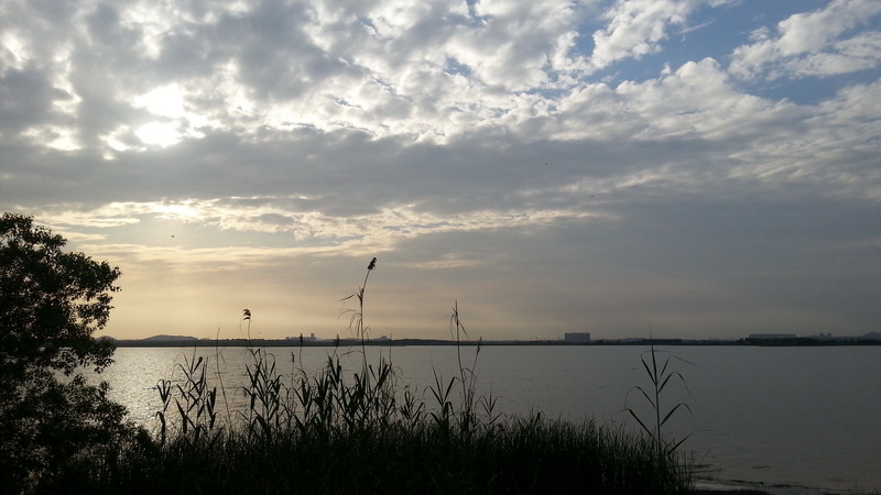 2013-05-10_17-55-40_168016_org_С.jpg