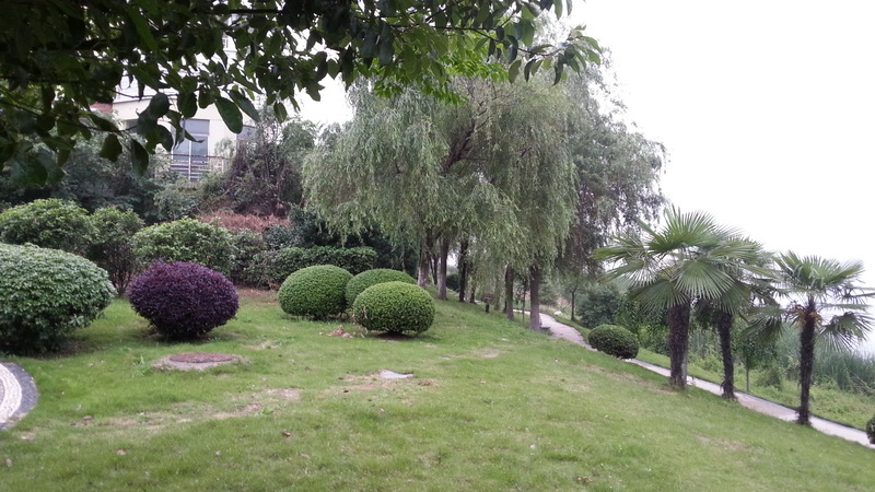 2013-05-07_06-00-36_298080_org_С.jpg