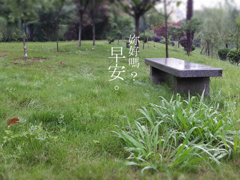MA201305080644400093-41-00d900_С.jpg