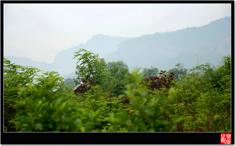 DSC_0859.JPG