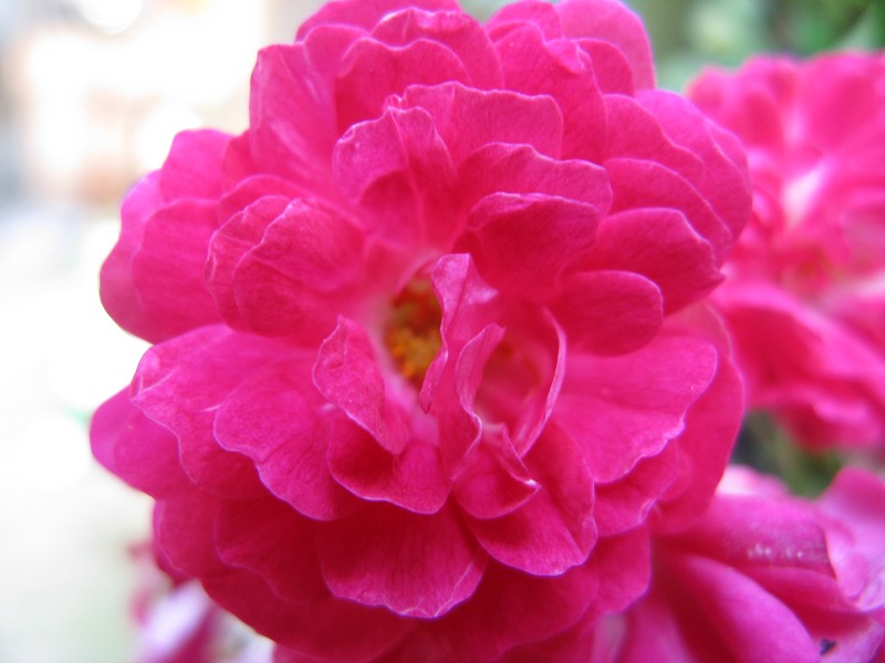 psb (2).jpg