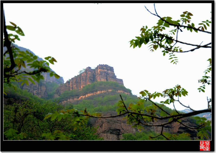 DSC_1448_1.JPG