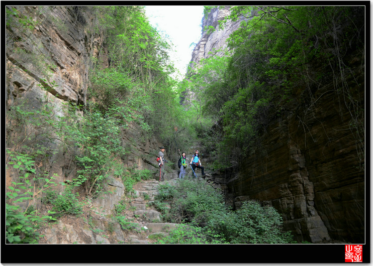 DSC_1550_1.JPG