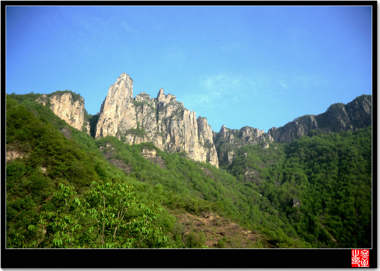 DSC_1572_1.JPG