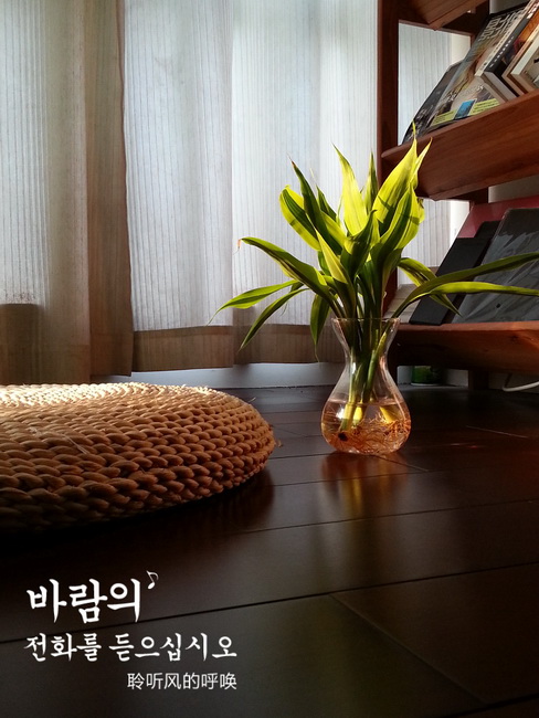 MA201305280630110032-42-00bf00s.jpg