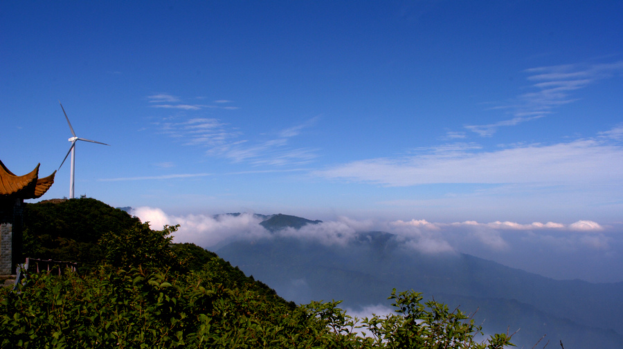 DSC_0338.jpg