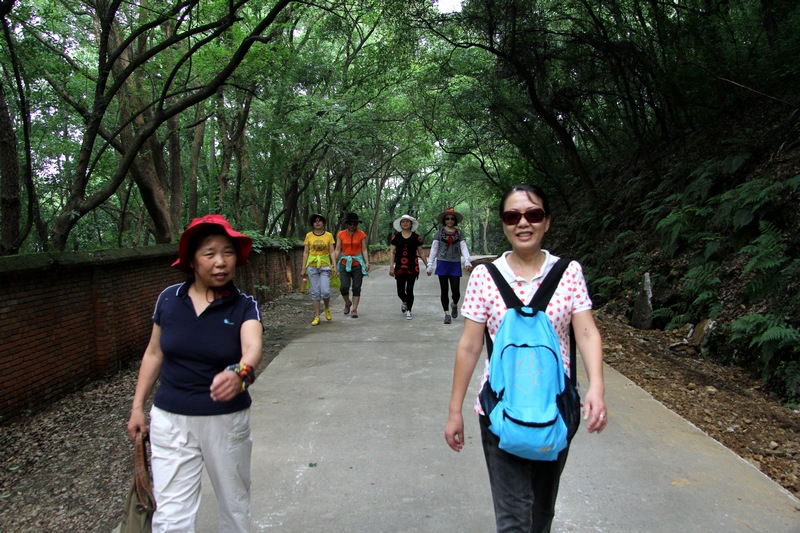 IMG_8782.jpg