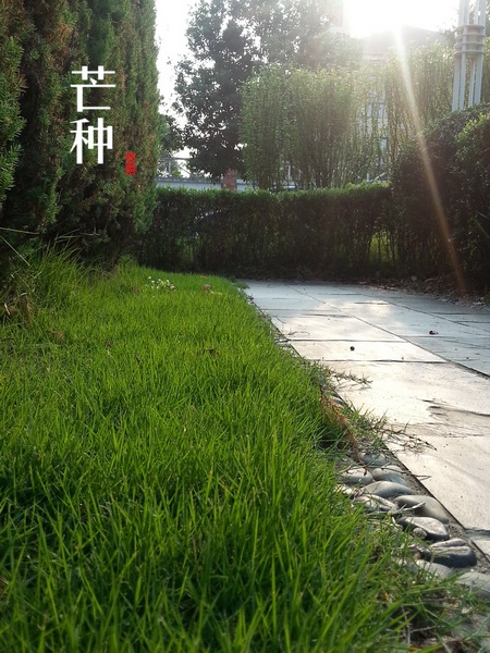 MA201306051547380062-02-007500s.jpg