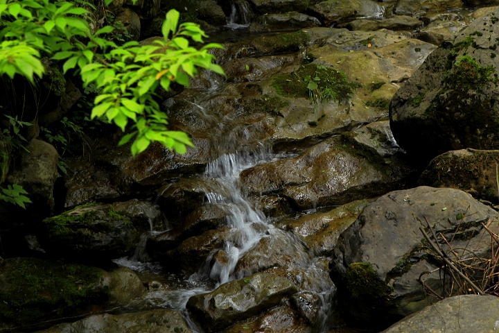 _MG_0030.jpg