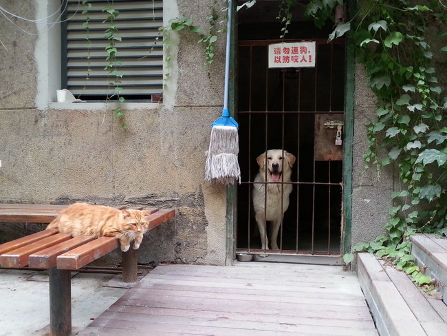 MA201306081709450063-41-000000.jpg