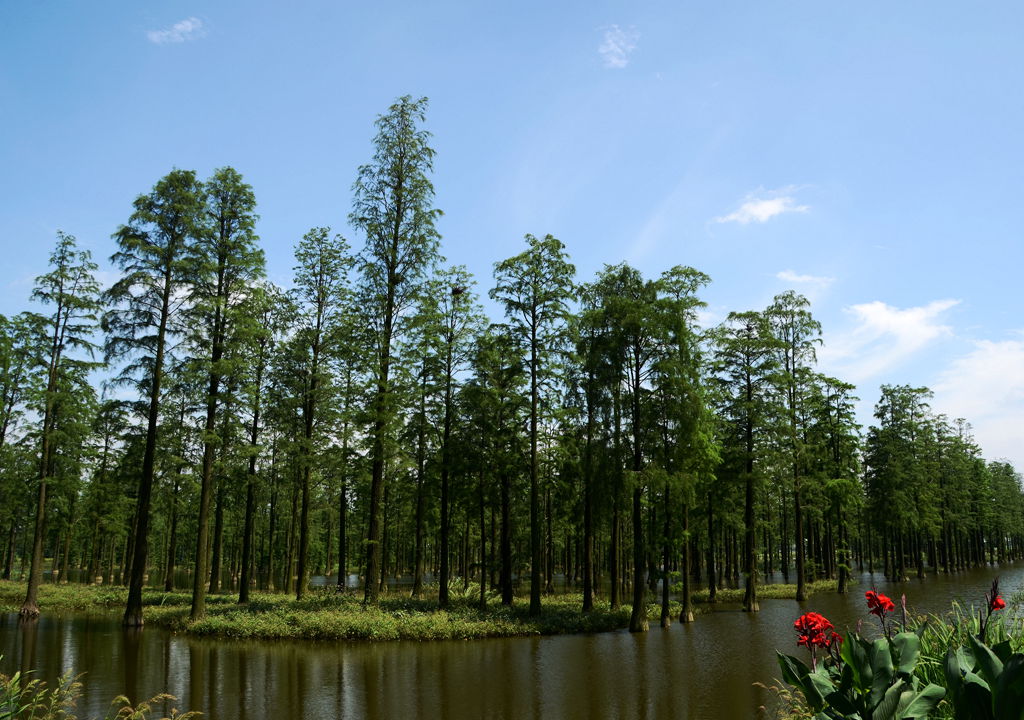 DSC_7959_.jpg
