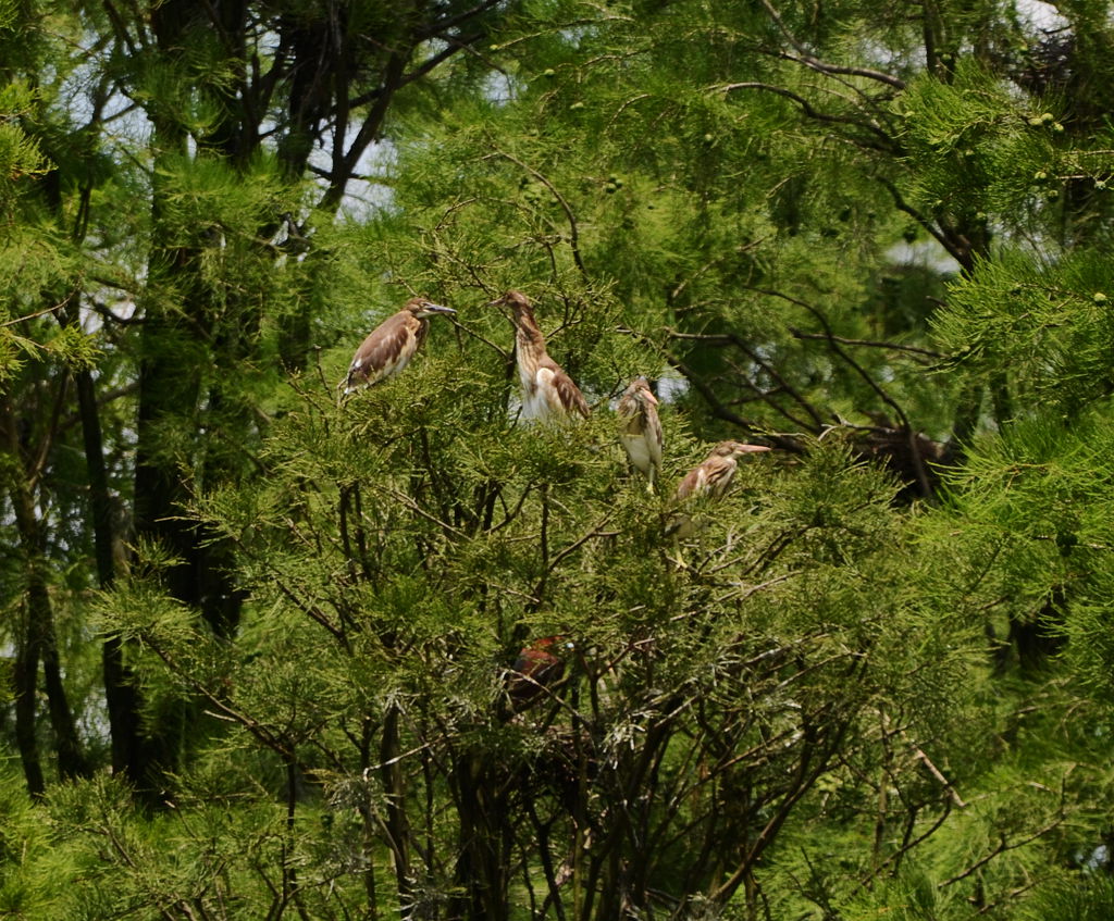 DSC_7819_.jpg