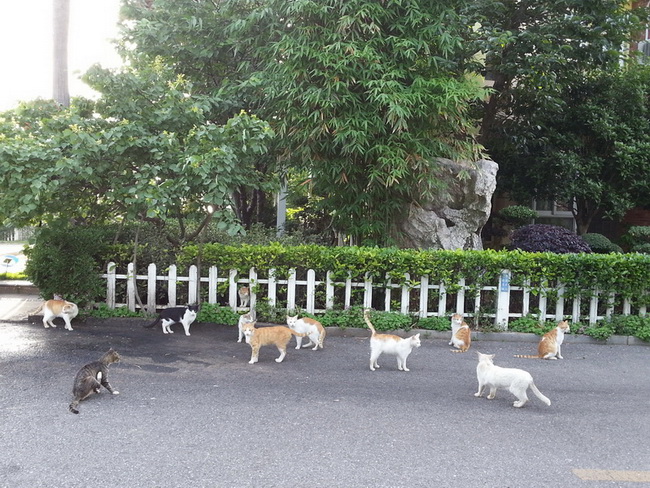 MA201305111725090090-41-000000_С.jpg