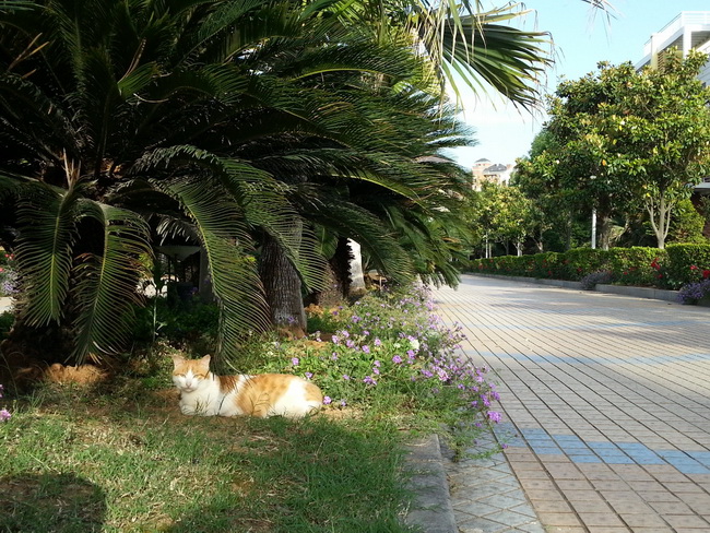MA201305111716210029-41-000000.jpg