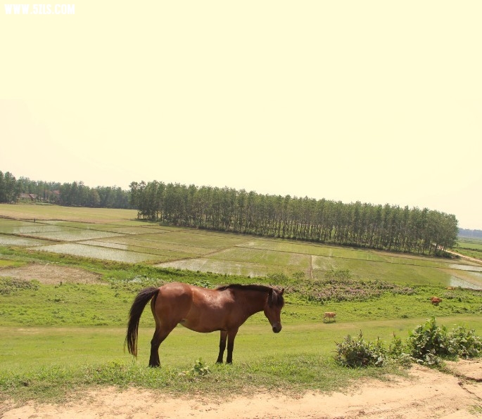 QQͼƬ20130612221152.jpg