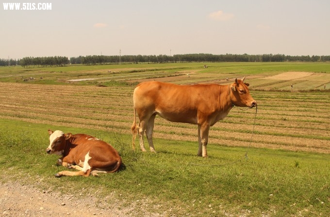 QQͼƬ20130612220907.jpg