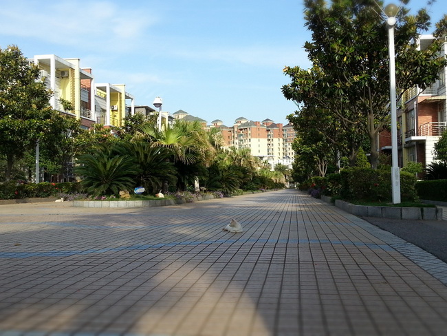 MA201305111711020044-41-000000.jpg