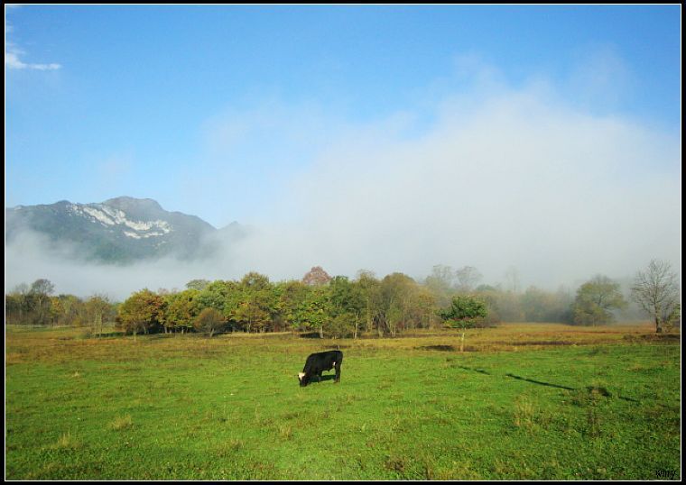 20091081913.jpg
