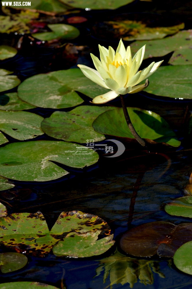 DSC_1067.jpg