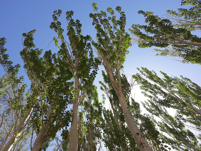 20130524_114606.jpg