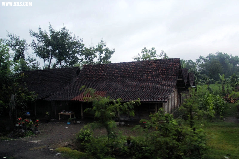 IMG_4683.jpg