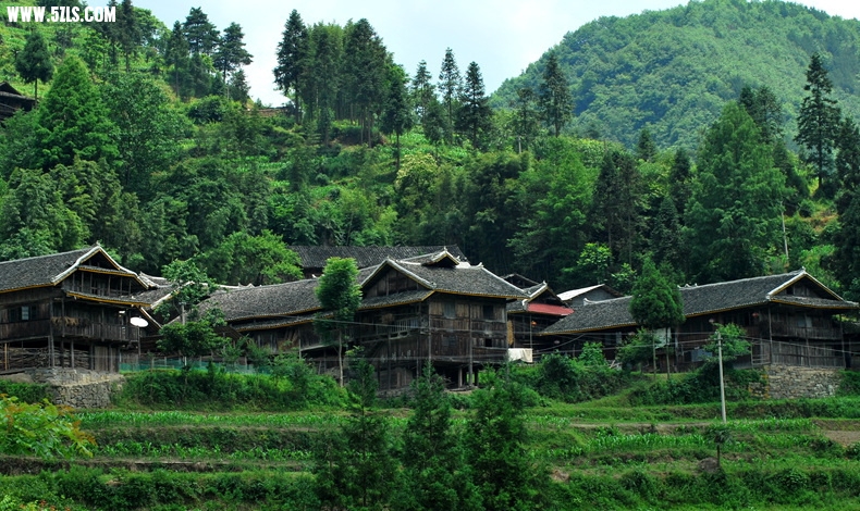 DSC_0360.JPG