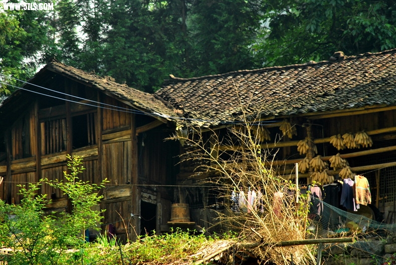 DSC_0214.JPG