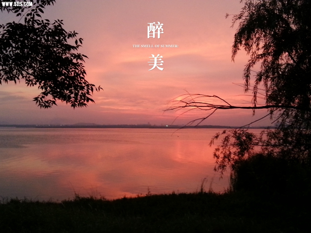 MA201306191939220093-11-007e00.jpg