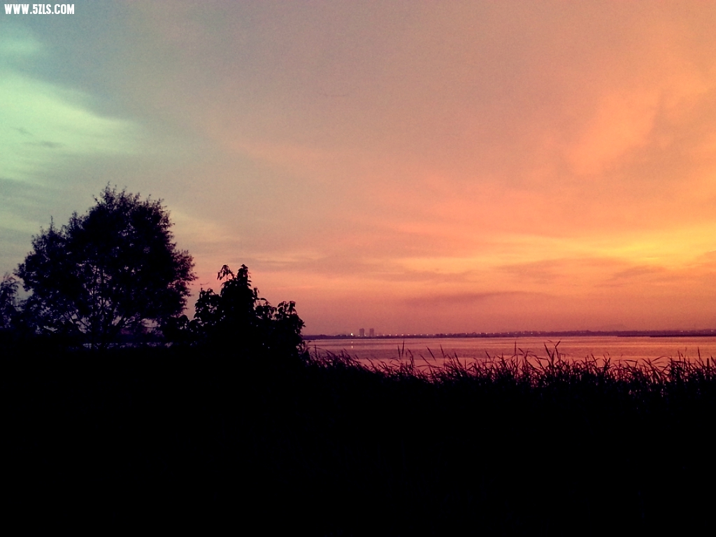 MA201306191936370040-11-010000.jpg